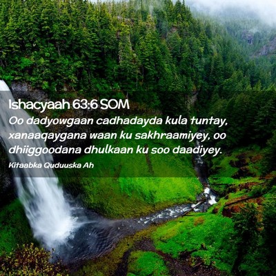 Picture 02 - Ishacyaah 63:6 SOM - Oo dadyowgaan cadhadayda kula tuntay, - Bible Verse Picture