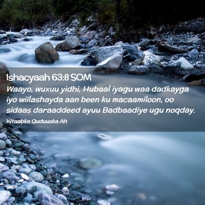 Picture 02 - Ishacyaah 63:8 SOM - Waayo, wuxuu yidhi, Hubaal iyagu waa dadkayga iyo - Bible Verse Picture