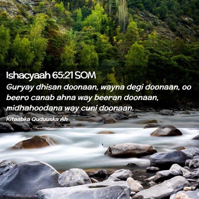 Picture 02 - Ishacyaah 65:21 SOM - Guryay dhisan doonaan, wayna degi doonaan, oo - Bible Verse Picture