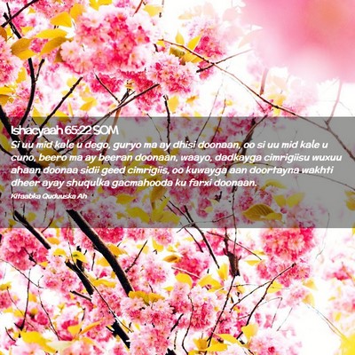 Picture 02 - Ishacyaah 65:22 SOM - Si uu mid kale u dego, guryo ma ay dhisi doonaan, - Bible Verse Picture