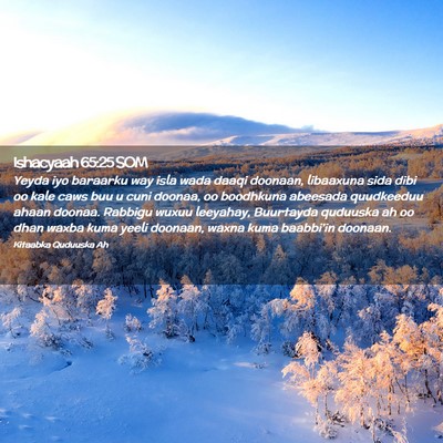 Picture 02 - Ishacyaah 65:25 SOM - Yeyda iyo baraarku way isla wada daaqi doonaan, - Bible Verse Picture