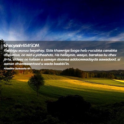 Picture 02 - Ishacyaah 65:8 SOM - Rabbigu wuxuu leeyahay, Sida khamriga looga helo - Bible Verse Picture