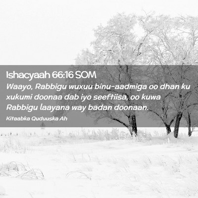 Picture 02 - Ishacyaah 66:16 SOM - Waayo, Rabbigu wuxuu binu-aadmiga oo dhan ku - Bible Verse Picture