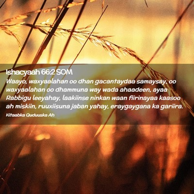 Picture 02 - Ishacyaah 66:2 SOM - Waayo, waxyaalahan oo dhan gacantaydaa samaysay, - Bible Verse Picture
