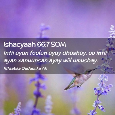Picture 02 - Ishacyaah 66:7 SOM - Intii ayan foolan ayay dhashay, oo intii ayan - Bible Verse Picture