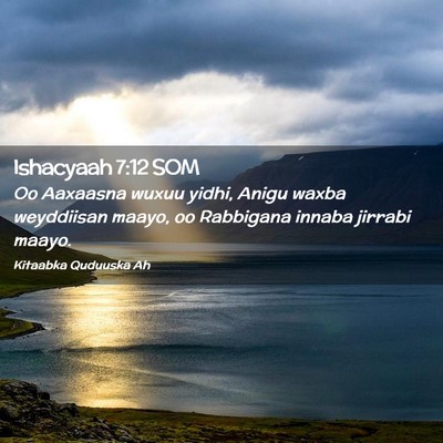 Picture 02 - Ishacyaah 7:12 SOM - Oo Aaxaasna wuxuu yidhi, Anigu waxba weyddiisan - Bible Verse Picture