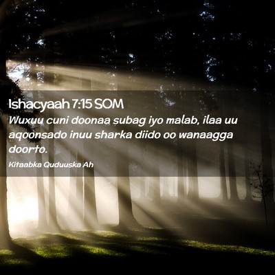 Picture 02 - Ishacyaah 7:15 SOM - Wuxuu cuni doonaa subag iyo malab, ilaa uu - Bible Verse Picture