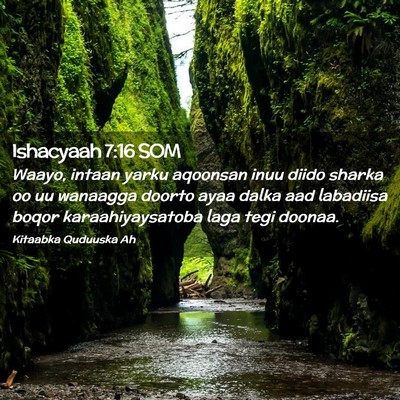 Picture 02 - Ishacyaah 7:16 SOM - Waayo, intaan yarku aqoonsan inuu diido sharka oo - Bible Verse Picture