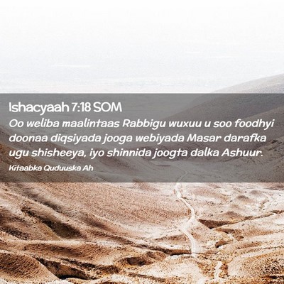 Picture 02 - Ishacyaah 7:18 SOM - Oo weliba maalintaas Rabbigu wuxuu u soo foodhyi - Bible Verse Picture