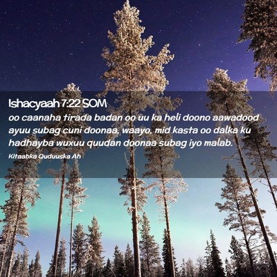 Picture 02 - Ishacyaah 7:22 SOM - oo caanaha tirada badan oo uu ka heli doono - Bible Verse Picture