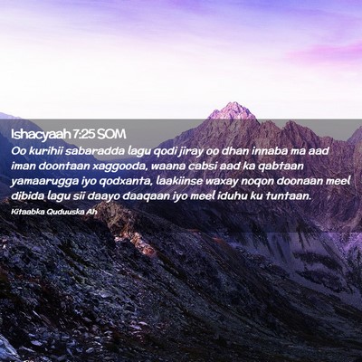 Picture 02 - Ishacyaah 7:25 SOM - Oo kurihii sabaradda lagu qodi jiray oo dhan - Bible Verse Picture