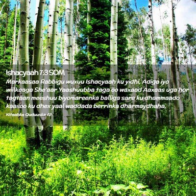 Picture 02 - Ishacyaah 7:3 SOM - Markaasaa Rabbigu wuxuu Ishacyaah ku yidhi, Adiga - Bible Verse Picture