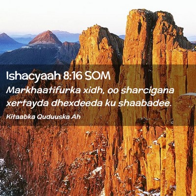 Picture 02 - Ishacyaah 8:16 SOM - Markhaatifurka xidh, oo sharcigana xertayda - Bible Verse Picture