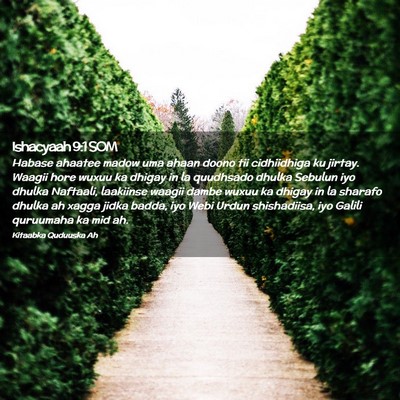 Picture 02 - Ishacyaah 9:1 SOM - Habase ahaatee madow uma ahaan doono tii - Bible Verse Picture