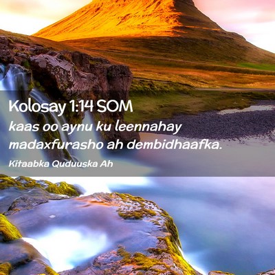 Picture 02 - Kolosay 1:14 SOM - kaas oo aynu ku leennahay madaxfurasho ah - Bible Verse Picture