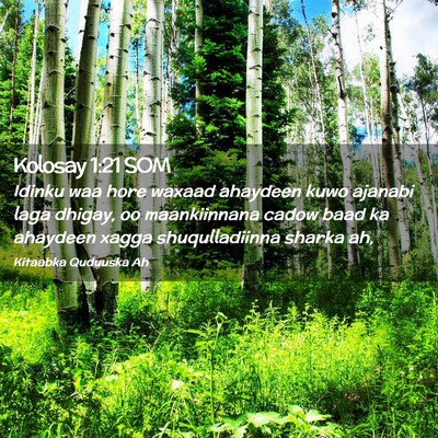 Picture 02 - Kolosay 1:21 SOM - Idinku waa hore waxaad ahaydeen kuwo ajanabi laga - Bible Verse Picture