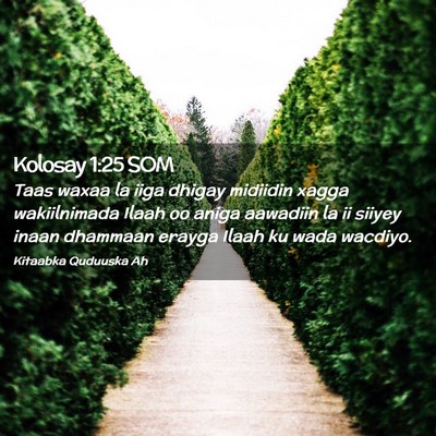 Picture 02 - Kolosay 1:25 SOM - Taas waxaa la iiga dhigay midiidin xagga - Bible Verse Picture