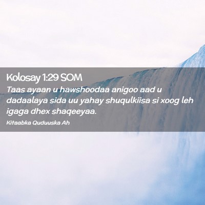 Picture 02 - Kolosay 1:29 SOM - Taas ayaan u hawshoodaa anigoo aad u dadaalaya - Bible Verse Picture