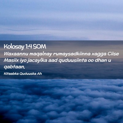 Picture 02 - Kolosay 1:4 SOM - Waxaannu maqalnay rumaysadkiinna xagga Ciise - Bible Verse Picture