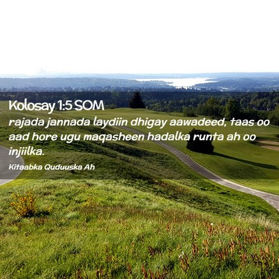 Picture 02 - Kolosay 1:5 SOM - rajada jannada laydiin dhigay aawadeed, taas oo - Bible Verse Picture