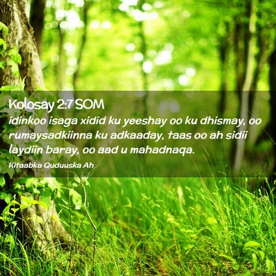 Picture 02 - Kolosay 2:7 SOM - idinkoo isaga xidid ku yeeshay oo ku dhismay, oo - Bible Verse Picture