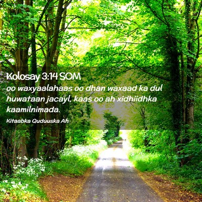Picture 02 - Kolosay 3:14 SOM - oo waxyaalahaas oo dhan waxaad ka dul huwataan - Bible Verse Picture