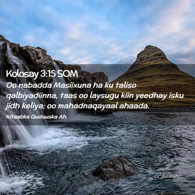 Picture 02 - Kolosay 3:15 SOM - Oo nabadda Masiixuna ha ku taliso qalbiyadiinna, - Bible Verse Picture