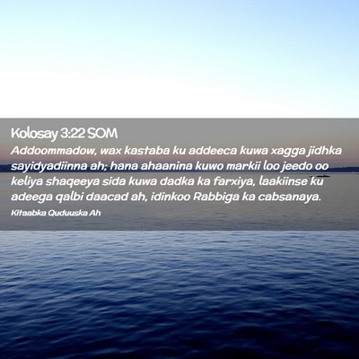 Picture 02 - Kolosay 3:22 SOM - Addoommadow, wax kastaba ku addeeca kuwa xagga - Bible Verse Picture