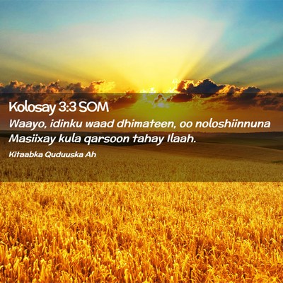 Picture 02 - Kolosay 3:3 SOM - Waayo, idinku waad dhimateen, oo noloshiinnuna - Bible Verse Picture