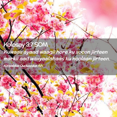 Picture 02 - Kolosay 3:7 SOM - Kuwaas ayaad waagii hore ku socon jirteen markii - Bible Verse Picture