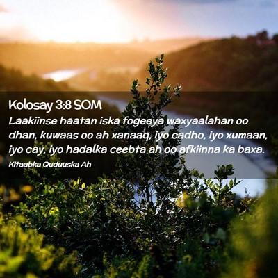Picture 02 - Kolosay 3:8 SOM - Laakiinse haatan iska fogeeya waxyaalahan oo - Bible Verse Picture
