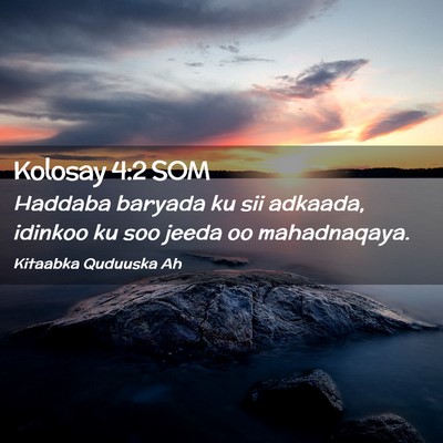 Picture 02 - Kolosay 4:2 SOM - Haddaba baryada ku sii adkaada, idinkoo ku soo - Bible Verse Picture
