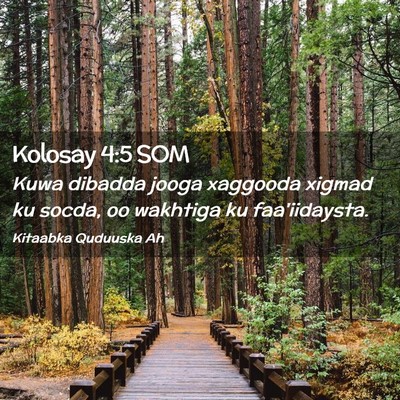 Picture 02 - Kolosay 4:5 SOM - Kuwa dibadda jooga xaggooda xigmad ku socda, oo - Bible Verse Picture