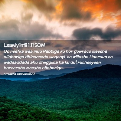 Picture 02 - Laawiyiintii 1:11 SOM - Oo neefka waa inuu Rabbiga ku hor gowraco meesha - Bible Verse Picture