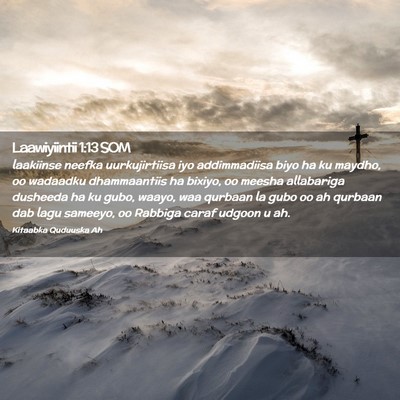 Picture 02 - Laawiyiintii 1:13 SOM - laakiinse neefka uurkujirtiisa iyo addimmadiisa - Bible Verse Picture
