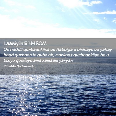 Picture 02 - Laawiyiintii 1:14 SOM - Oo haddii qurbaankiisa uu Rabbiga u bixinayo uu - Bible Verse Picture