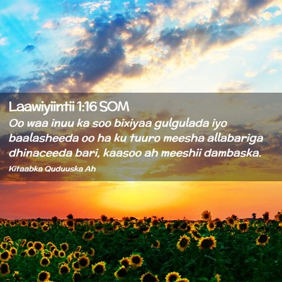 Picture 02 - Laawiyiintii 1:16 SOM - Oo waa inuu ka soo bixiyaa gulgulada iyo - Bible Verse Picture