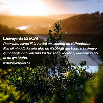 Picture 02 - Laawiyiintii 1:2 SOM - Reer binu Israa'iil la hadal oo waxaad ku - Bible Verse Picture