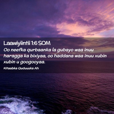 Picture 02 - Laawiyiintii 1:6 SOM - Oo neefka qurbaanka la gubayo waa inuu haragga ka - Bible Verse Picture