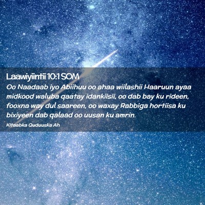 Picture 02 - Laawiyiintii 10:1 SOM - Oo Naadaab iyo Abiihuu oo ahaa wiilashii Haaruun - Bible Verse Picture