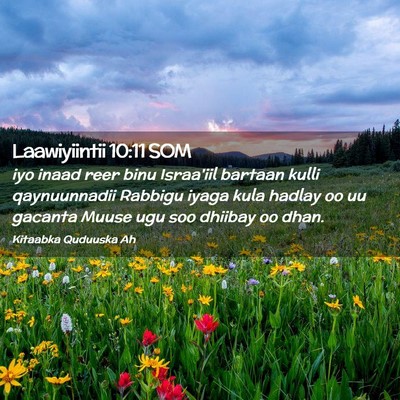 Picture 02 - Laawiyiintii 10:11 SOM - iyo inaad reer binu Israa'iil bartaan kulli - Bible Verse Picture