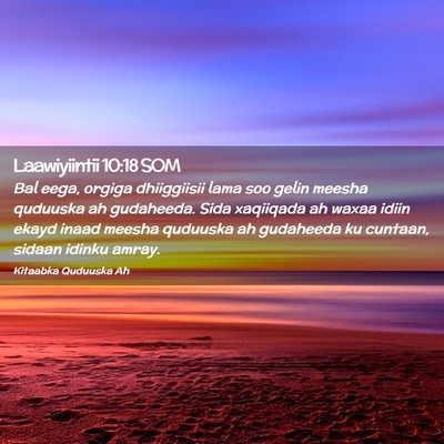 Picture 02 - Laawiyiintii 10:18 SOM - Bal eega, orgiga dhiiggiisii lama soo gelin - Bible Verse Picture
