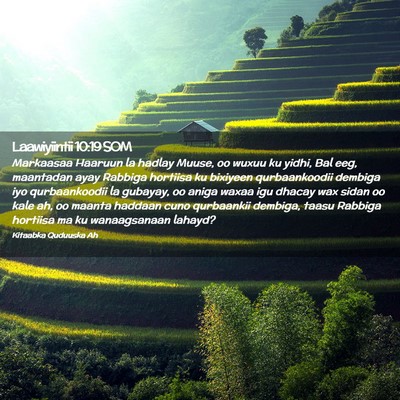 Picture 02 - Laawiyiintii 10:19 SOM - Markaasaa Haaruun la hadlay Muuse, oo wuxuu ku - Bible Verse Picture