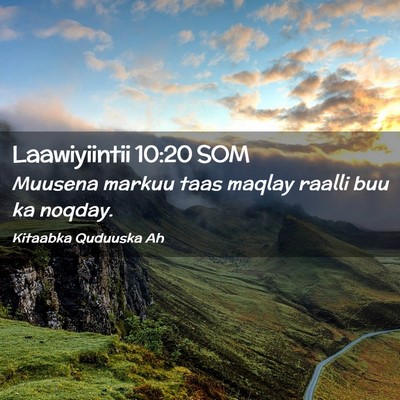 Picture 02 - Laawiyiintii 10:20 SOM - Muusena markuu taas maqlay raalli buu ka - Bible Verse Picture