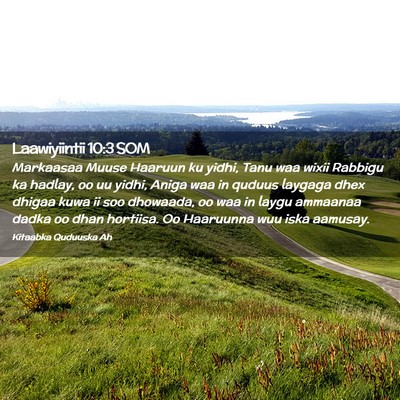 Picture 02 - Laawiyiintii 10:3 SOM - Markaasaa Muuse Haaruun ku yidhi, Tanu waa wixii - Bible Verse Picture