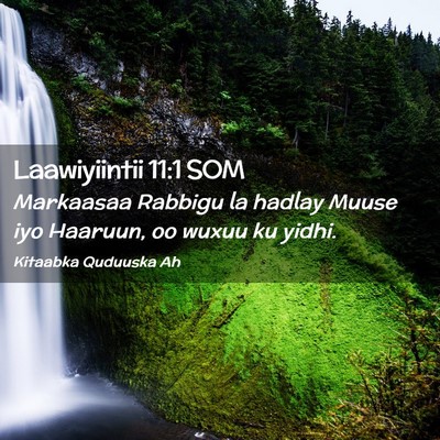 Picture 02 - Laawiyiintii 11:1 SOM - Markaasaa Rabbigu la hadlay Muuse iyo Haaruun, oo - Bible Verse Picture