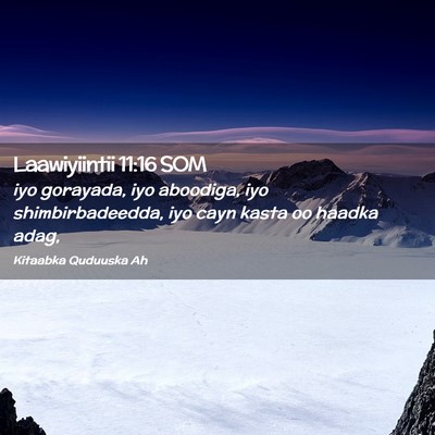 Picture 02 - Laawiyiintii 11:16 SOM - iyo gorayada, iyo aboodiga, iyo shimbirbadeedda, - Bible Verse Picture