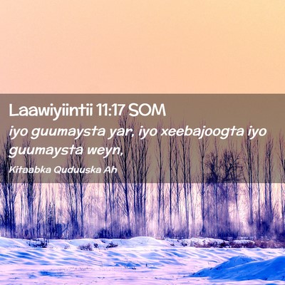 Picture 02 - Laawiyiintii 11:17 SOM - iyo guumaysta yar, iyo xeebajoogta iyo guumaysta - Bible Verse Picture