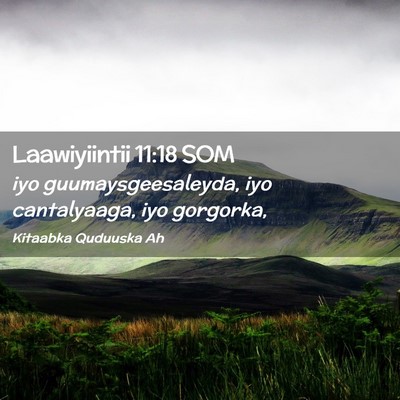 Picture 02 - Laawiyiintii 11:18 SOM - iyo guumaysgeesaleyda, iyo cantalyaaga, iyo - Bible Verse Picture