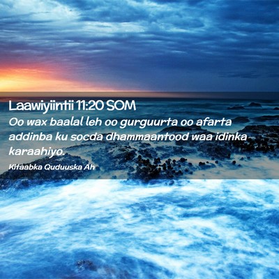 Picture 02 - Laawiyiintii 11:20 SOM - Oo wax baalal leh oo gurguurta oo afarta addinba - Bible Verse Picture